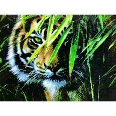 Алмазная мозаика квадратные стразы животные 40*50 хищник, природа, тигр. Kakadu