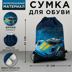 Сумка для обуви Чемпион, нетканное полотно, размер 41х31 см Made in China