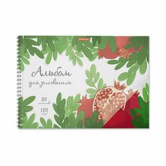 Альбом для рисования с пластиковой обложкой на спирали ErichKrause Juicy Fruits, А4, 30 листов Россия