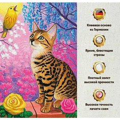 Алмазная мозаика 30х40, без подрамника, полная выкладка квадратными стразами, Птицы, Животные, Коты Даймонд Канвас