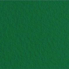 Fabriano Бумага для пастели "Tiziano" 160г/м2 50x65см зеленый темный, 10л