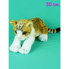 Мягкая игрушка Реалистичный Кот 30 см. АКИМБО КИТ