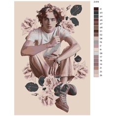 Картина по номерам Z918 "Тимоти Шаламе" 70x110 Brushes Paints