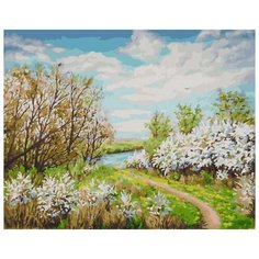 Картина по номерам "Цветущий луг", 40x50 см Color KIT