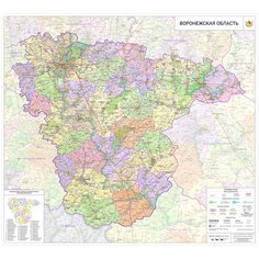 Настенная карта Воронежской области 95 х 105 см (на самоклеющейся пленке) Отрок