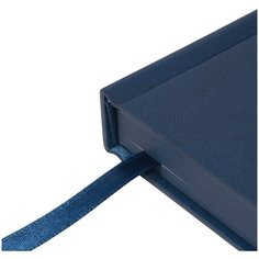 Ежедневник недатированный, А5 (142 х 206 мм.), "CITIZEN" синий 320 стр, Арт : 3-508/02 Bruno Visconti