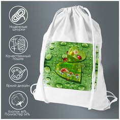 Сумка для обуви CoolPodarok Роса. Божья коровка