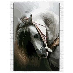 Картина по номерам на холсте Белая лошадь (абстракция) - 9047 В 60x40