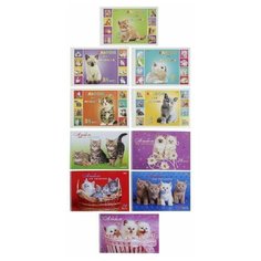 Альбом для рисования А4, 24 листа, на гребне, "Милые котята" обложка мелованный картон, блок 100 г/м2, перфорация на отрыв, микс Hatber