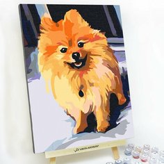 Картина по номерам Шпиц RED Panda