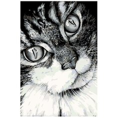 Картина по номерам, "Живопись по номерам", 72 x 108, A208, кот, животное, крупный план, зрачки, чёрно-белый