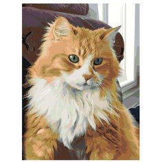 Картина по номерам, "Живопись по номерам", 45 x 60, ets489v2-3040, кот, рыжий, котёнок, животное, домашний, питомец, пушистый, окно, диван, портрет