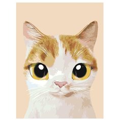 Картина по номерам, "Живопись по номерам", 45 x 60, A549, котёнок, большие глаза, животное, портрет, изолированный фон