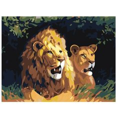 Картина по номерам, "Живопись по номерам", 60 x 80, KRYM-AN04