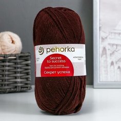 Пехорский текстиль Пряжа "Секрет успеха" 100% шерсть 250м/100гр (251-Коричневый) Пехорка