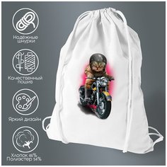 Сумка для обуви CoolPodarok Котик едет на мотоцикле