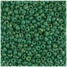 Бисер круглый Gamma 1, 10/0, 2,3 мм, 50 г, 1-й сорт, A062, зеленый меланж