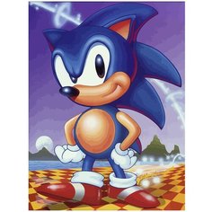 Картина по номерам на холсте Sonic - 7 30 x 40