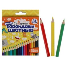 Карандаши цветные 12 цветов мини, корпус деревянный, треугольный./В упаковке шт: 1 Calligrata