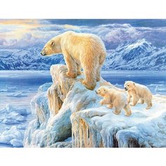 Алмазная мозаика на подрамнике 40х50см HWA2414-1 круглые стразы Нет бренда