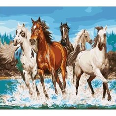 Картина по номерам Бегущие по воде 40х50 см Hobby Home