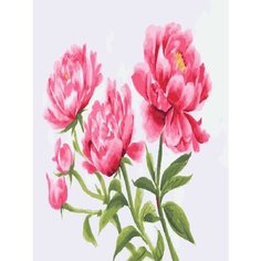Картина по номерам Розовые пионы 40х50 см Hobby Home