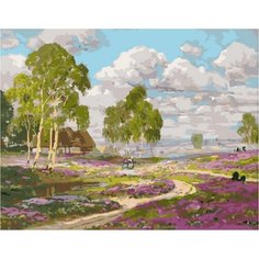 Картина по номерам Цветущие деревенские луга 40х50 см Hobby Home