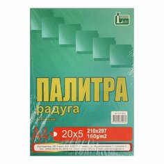 Бумага цветная А4 100л Палитра колор Интенсив 5 цветов 160г/м2 Licht