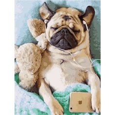 Картина по номерам Мопс 40х50 см Hobby Home