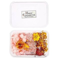 Школа талантов Набор для творчества «Набор сухоцветов» большой, розовый + жёлтый