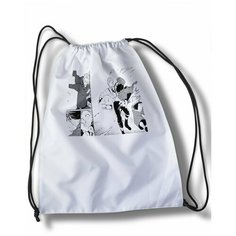 Мешок для cменной обуви Аниме Великий из бродячих псов - 25103 Brut Boxers
