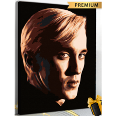 Картина по номерам Драко Малфой