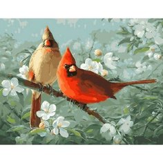 Картина по номерам Кардиналы на ветке 40х50 см Hobby Home