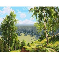 Картина по номерам Березовая долина 40х50 см Hobby Home