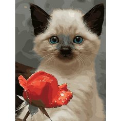 Картина по номерам Сиамский котенок 40х50 см Hobby Home