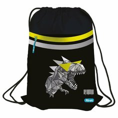 Мешок для обуви Forst "Cool Dino", 1 отделение, 350х460 мм, вентиляционная сеточка, светоотражающий, карман (FT-MS-020317)