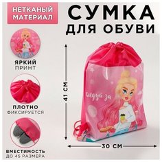 Сумка для обуви «Следуй за мечтой», 41х30х0,5 см Art Fox