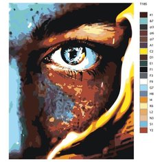 Картина по номерам Т185 "Огненный взгляд", 40х50 см Brushes Paints