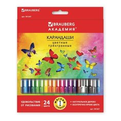 Карандаши цветные BRAUBERG "бабочки" 24 цвета трехгранные заточенные, 2 шт