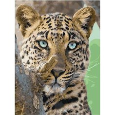 Картина по номерам Леопард на охоте 40х50 см АртТойс