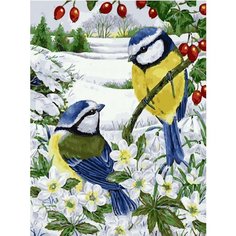 Картина по номерам Синички в цветах 40х50 см АртТойс