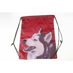 Мешок для обуви 42х32см, с рисунком "Собака", цвет бордовый Bragin