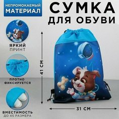 Сумка для обуви Космический пушистик, нетканное полотно, размер 41х31 см Made in China