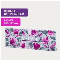 Планинг датированный 2024 г 285х112 мм, STAFF, гребень, картонная обложка, 64 листа "Цветы", 1 шт