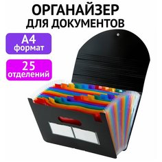 Папка-органайзер для бумаг и документов на резинке, 25 отделений, BRAUBERG DOCS, А4, черная, 271151