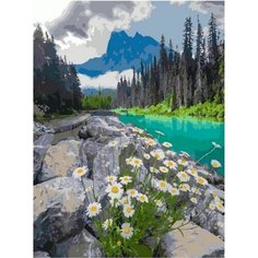 Картина по номерам Ромашки у речки 40х50 см АртТойс