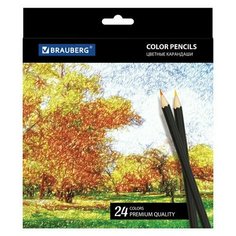 Карандаши цветные BRAUBERG "Artist line" 24 цвета черный корпус заточенные высшее качество, 2 шт