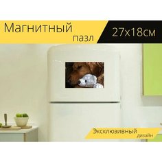Магнитный пазл "Собака, золотистый ретривер, детка" на холодильник 27 x 18 см. Lots Prints
