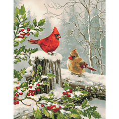 Картина по номерам Кардиналы 40х50 см АртТойс