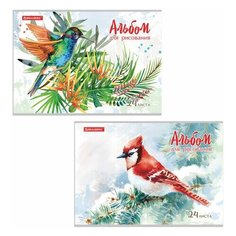 Альбом для рисования А4 24 л, скоба, обложка картон, BRAUBERG, 202х285 мм, "Райские птички" (2 вида), 105609 - 20 шт.